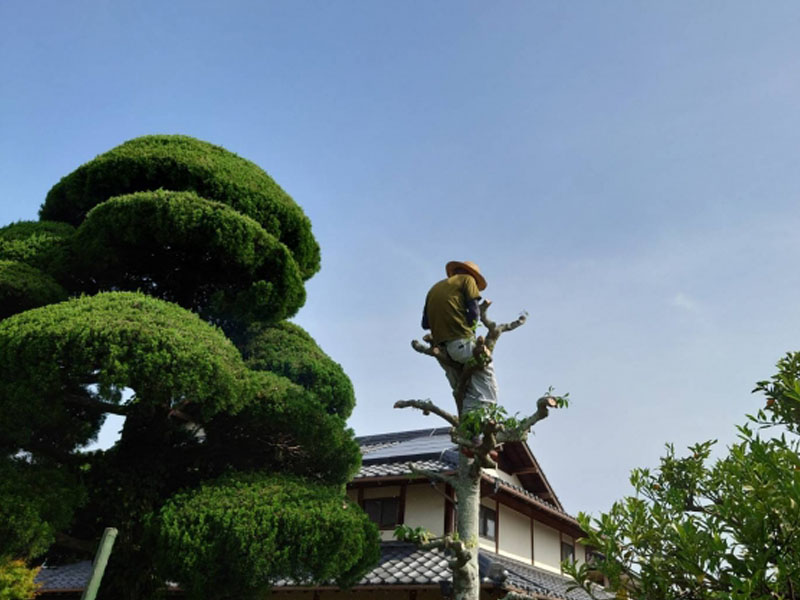 画像 1