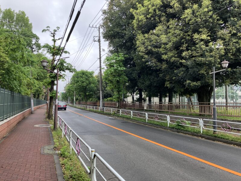 画像 3