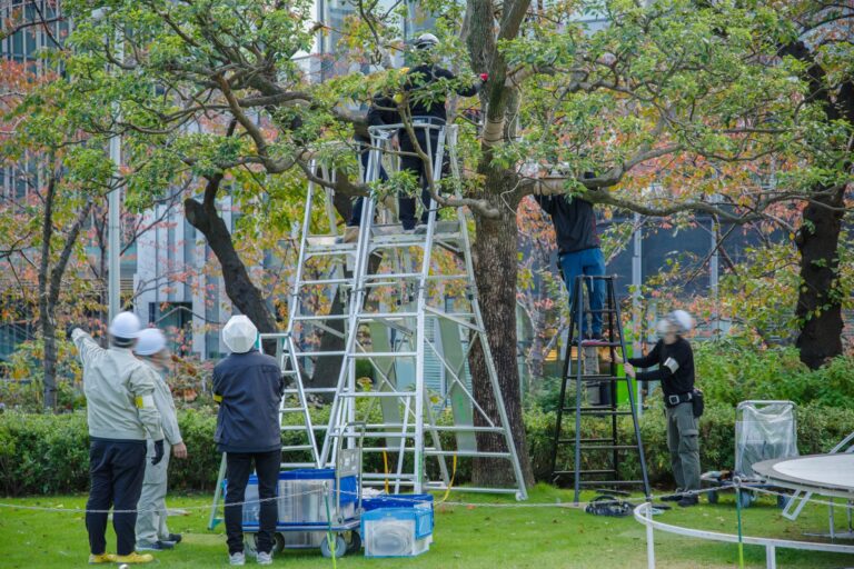 パン屋と公園のベンチ