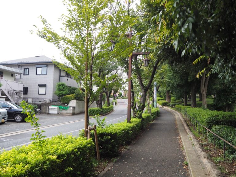 支え合うしくみ