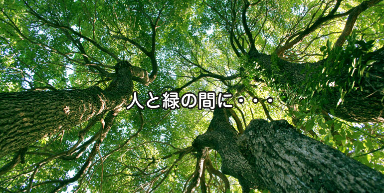 株式会社富沢造園