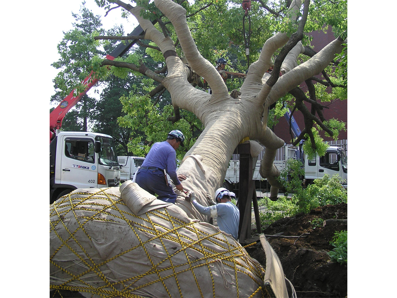 【調布市】完全週休2日制。緑や自然が好き。緑を創り出そう!