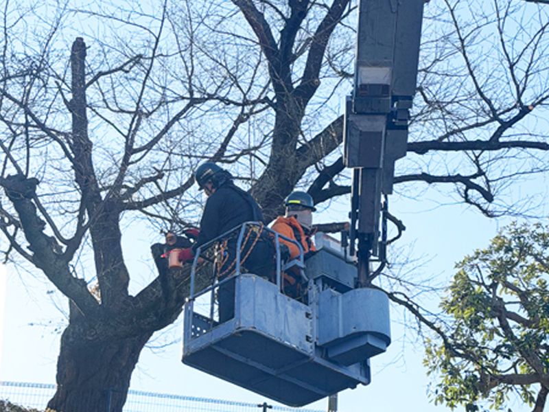 【調布】造園補助作業から始めよう。手に職を付ける。